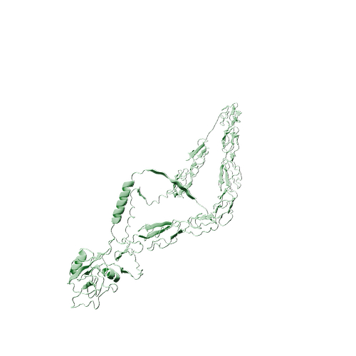 Biotinylated Mouse P-selectin (C-Avi-6His, HEK293)